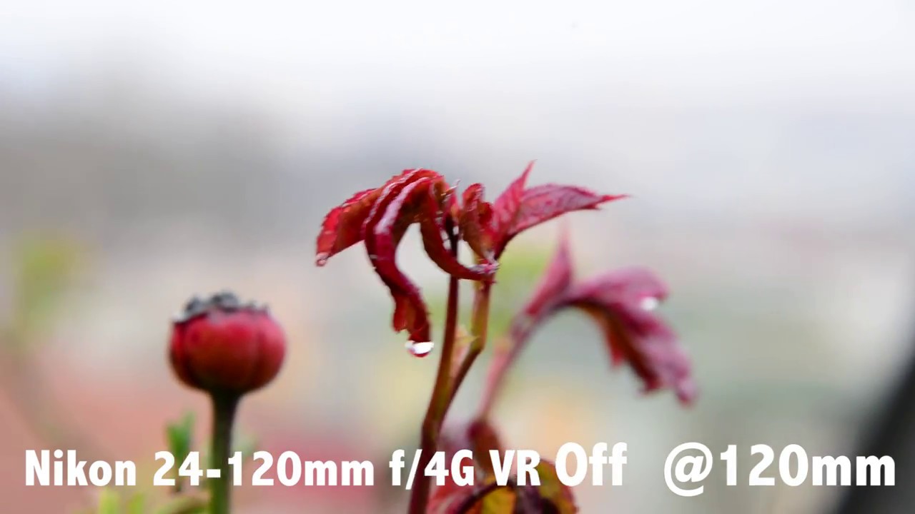 NIKKOR 24-120mm f/4G ED VR, VR TEST