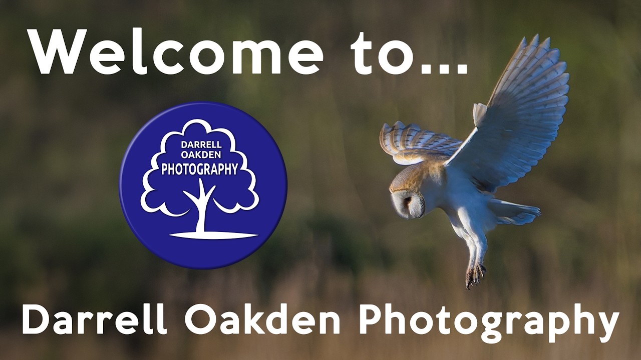 Why you should subscribe to Darrell Oakden Photography