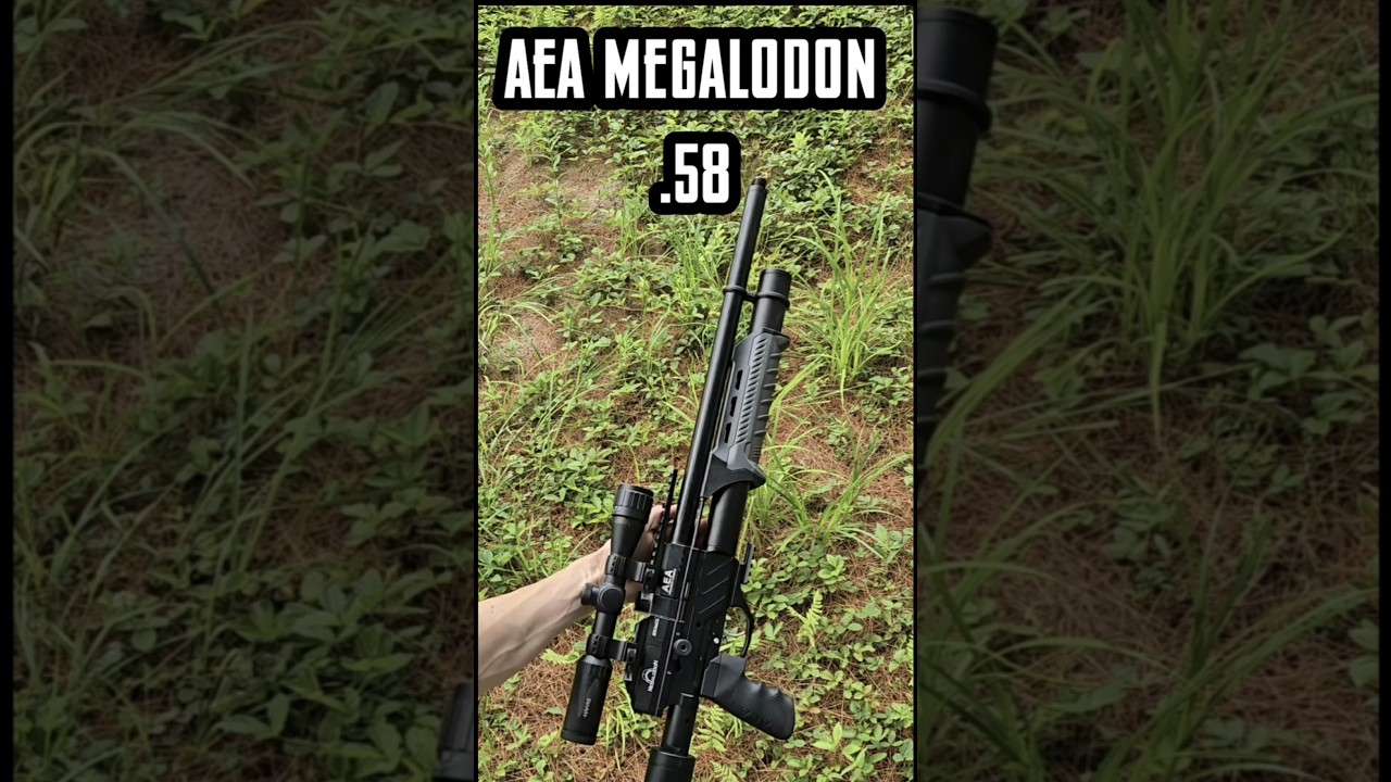 #1 Air Rifle Big Bore Impressive Power,Performance,Repeatability