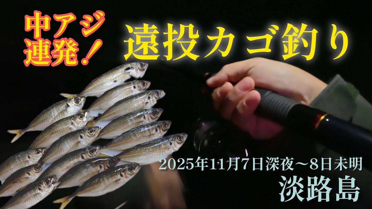 尺アジ狙いで遠投カゴ釣り🎣サイズはともかく連発ツ抜け！