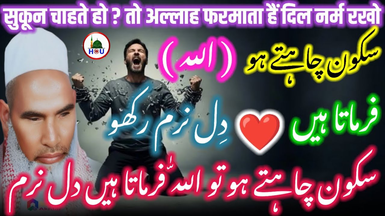 सुकून चाहते हो तो अल्लाह फरमाता है दिल नरम रखो 😱 karya Hanif multani If you want peace, Allah says, 