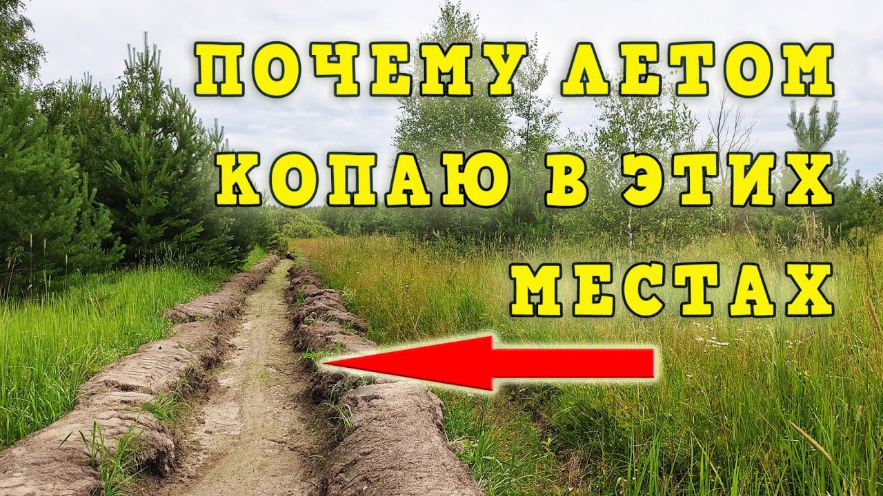 Летний коп. Каждый сезон копаю в таких местах.
