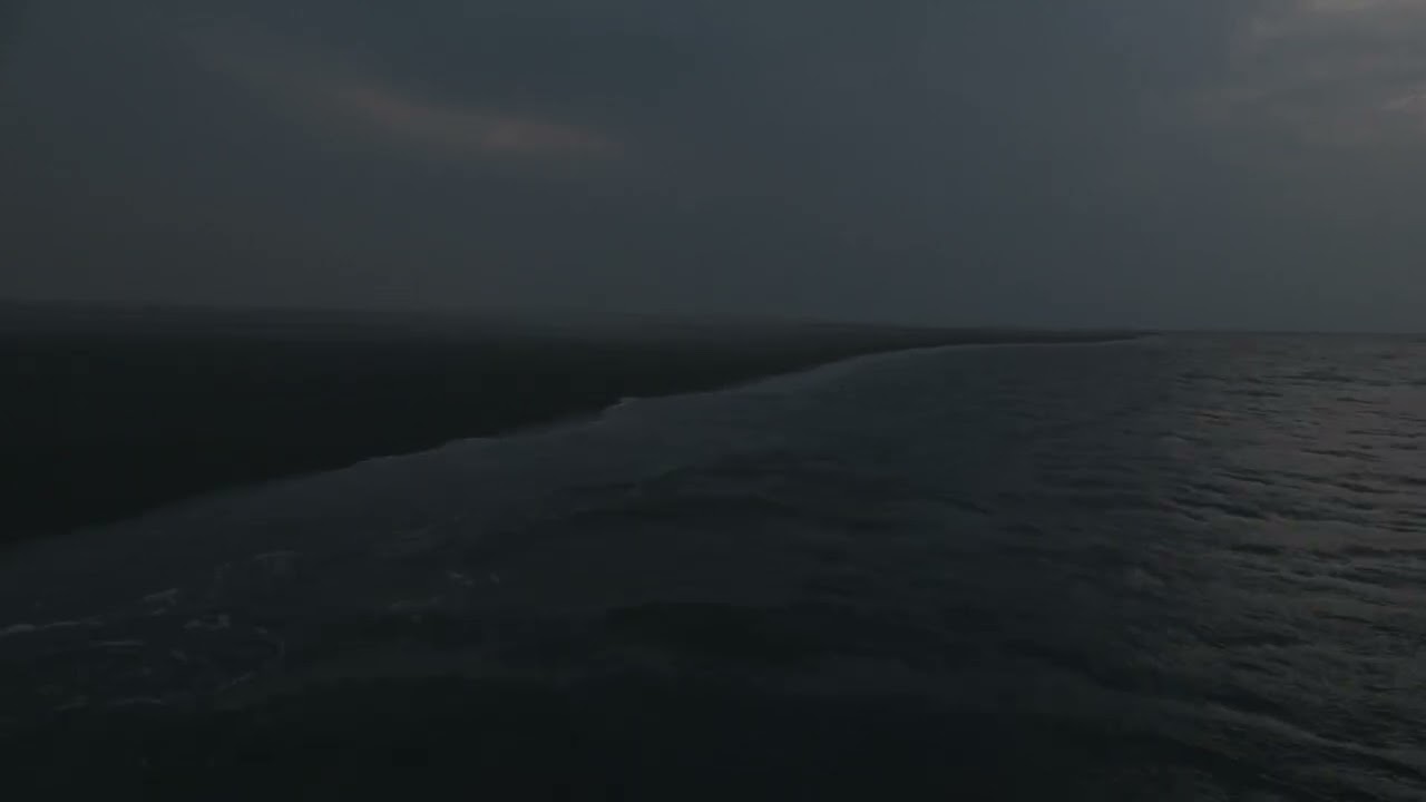 Schiermonnikoog 100225