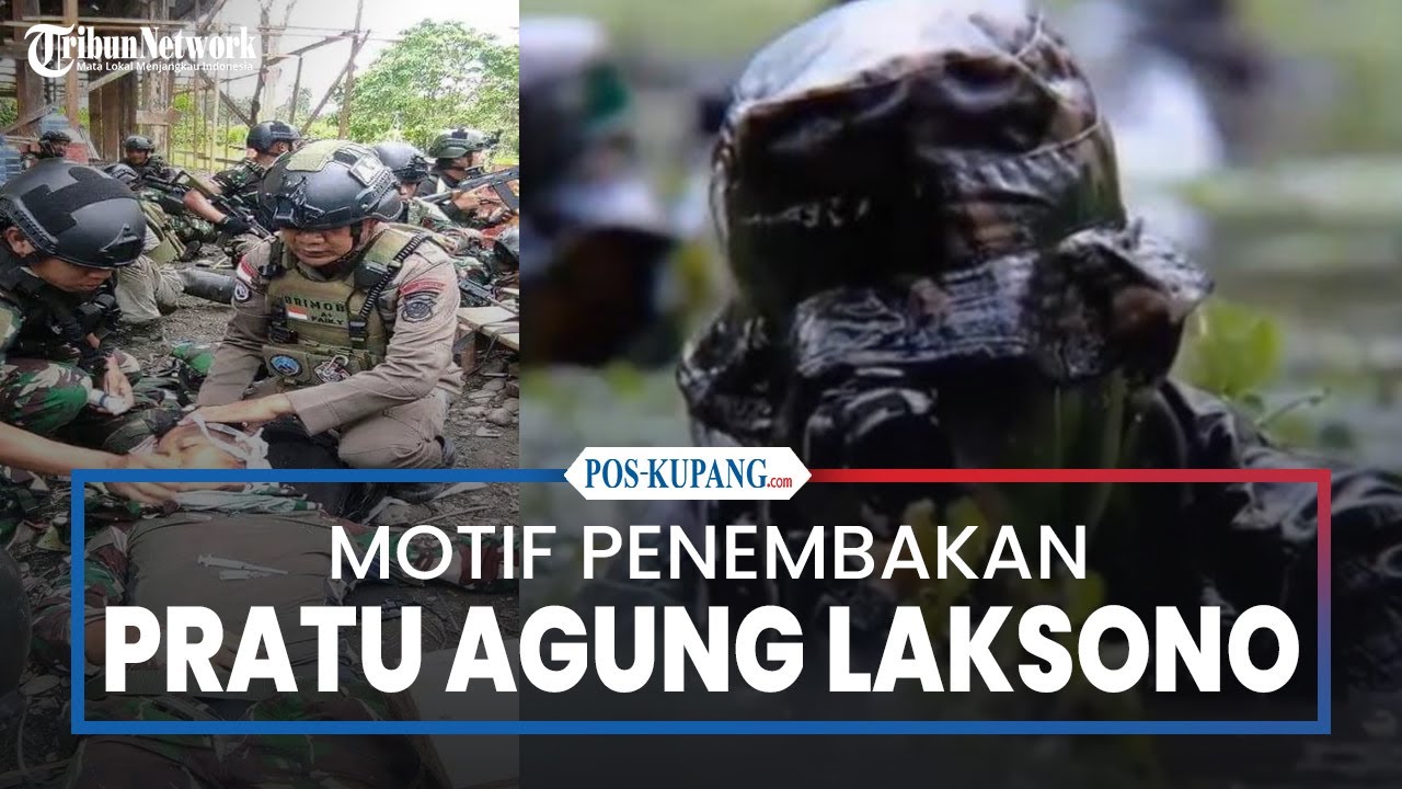 Motif Penembakan Prajurit Marinir TNI Hingga Gugur Oleh KKB