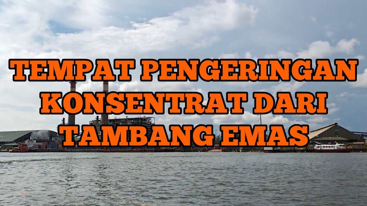 Kerja di DWP Portsite, Panasnya Gak Umum! #MyJobMyAdventure Eps.6 7