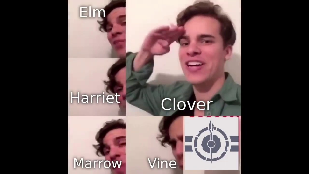 rwby as vines and tiktoks because what is life anymore