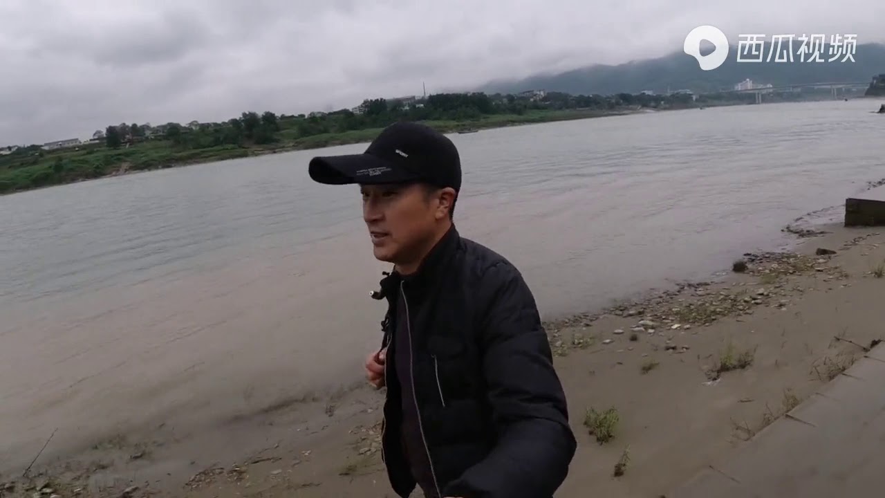 重庆嘉陵江北碚段有一块乌龟石，形状太逼真了，很多人都不知道！