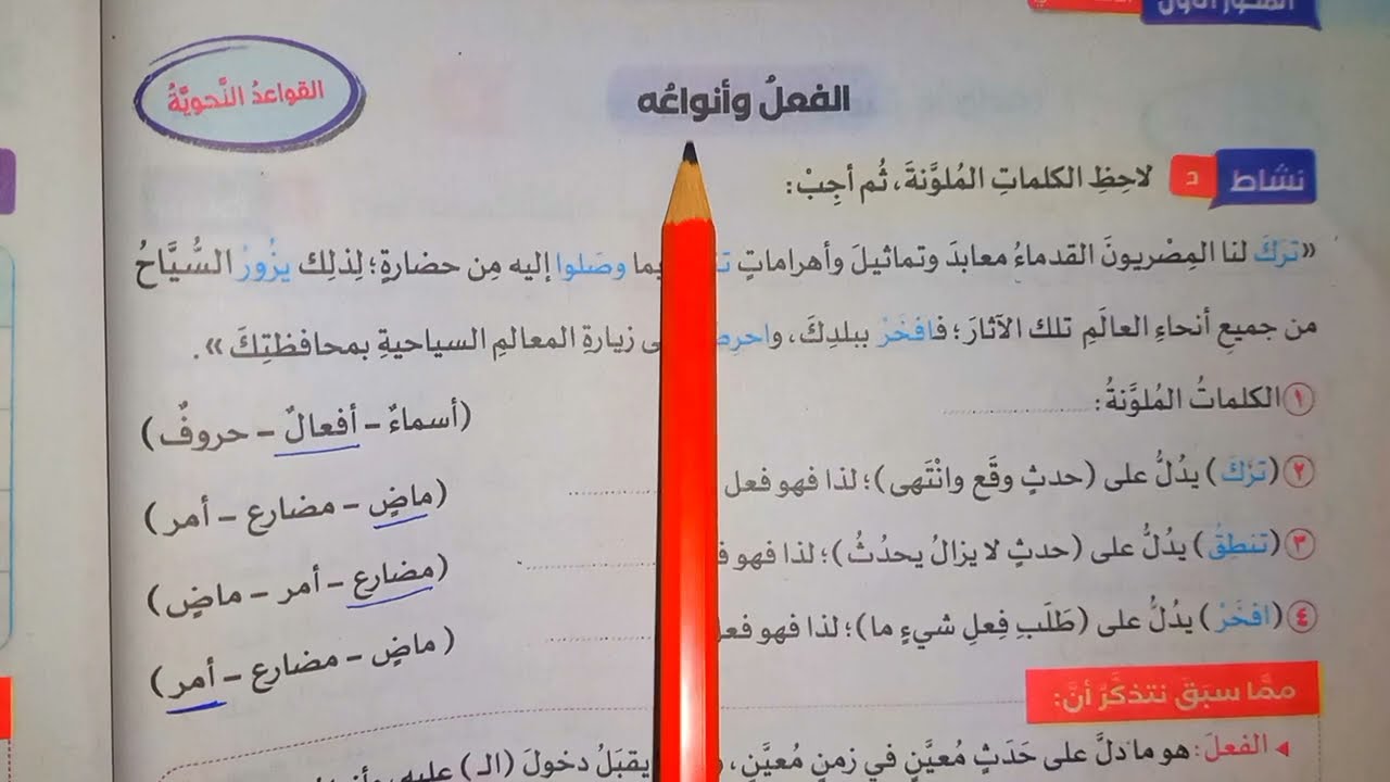 الصف الرابع الابتدائي الاسم والفعل ونوع الجملة حل اسئلة سلاح التلميذ ترم اول