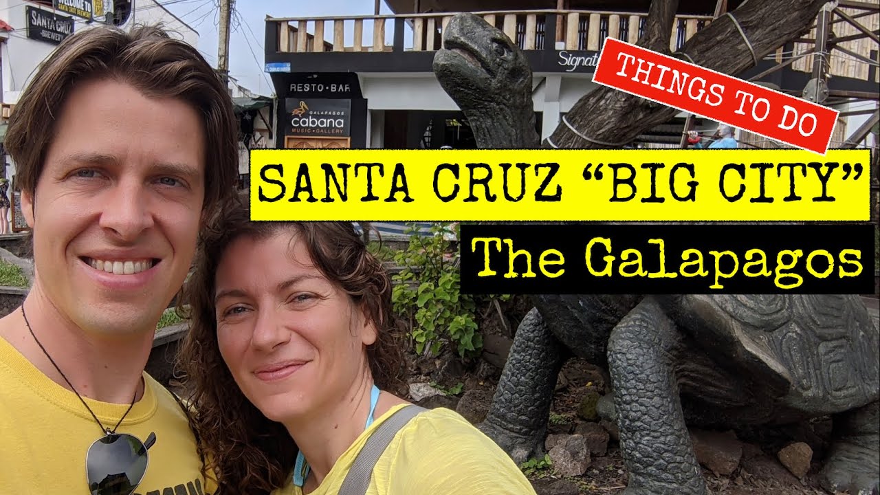 Santa Cruz | Travel to Galápagos Islands - Things to do Puerto Ayora 2021