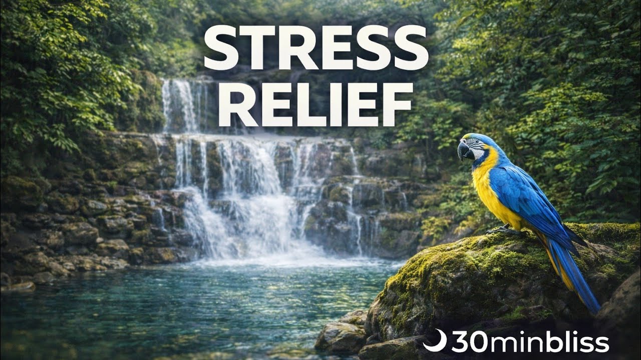Deep Sleep for 30 minutes for anxiety relief 30minbliss 🌙🌳