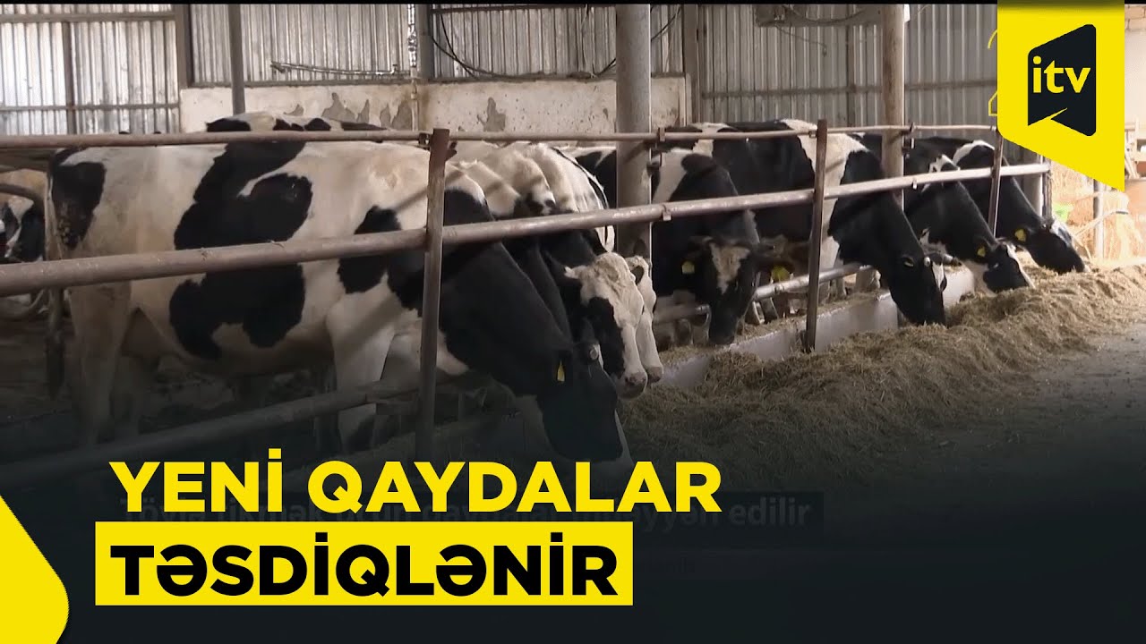 Tövlə tikmək üçün qaydalar müəyyən edilir