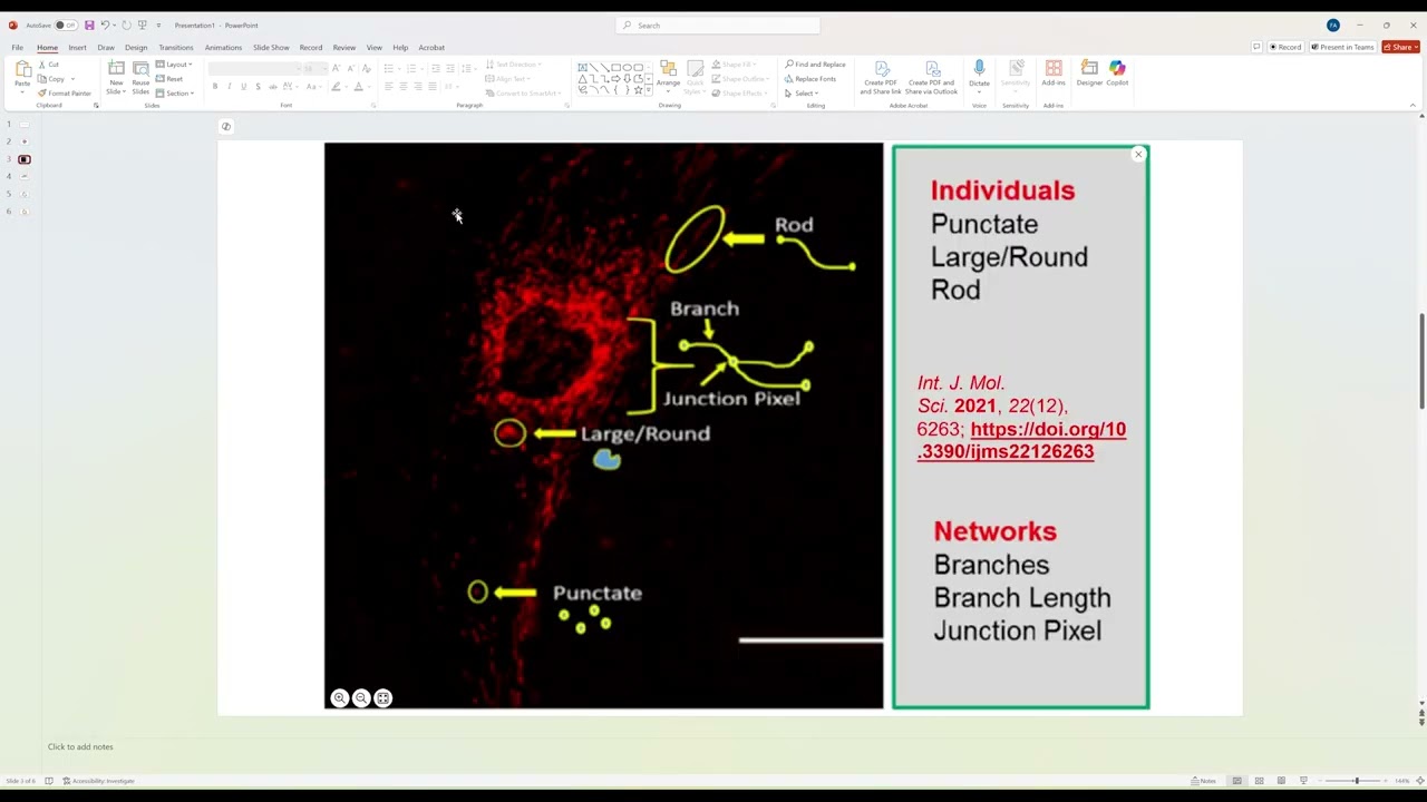 3D Mitochondria Analysis Using ImageJ: (Part 2- Data Analysis)