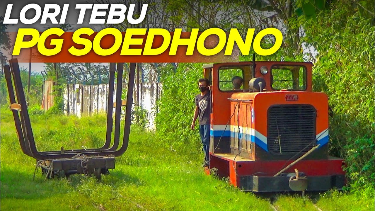 AKTIVITAS LORI TEBU PG SOEDHONO GENENG, NGAWI SAAT BUKA GILING!!
