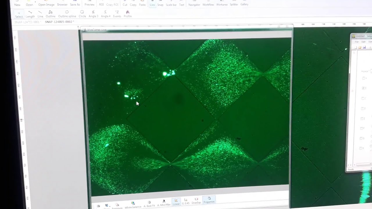 Electrophoresis from 3D Microfabrication