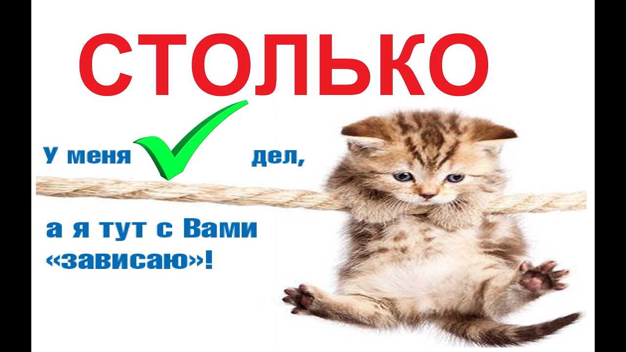 № 676  СТОЛЬКО + СКОЛЬКО / уроки русского