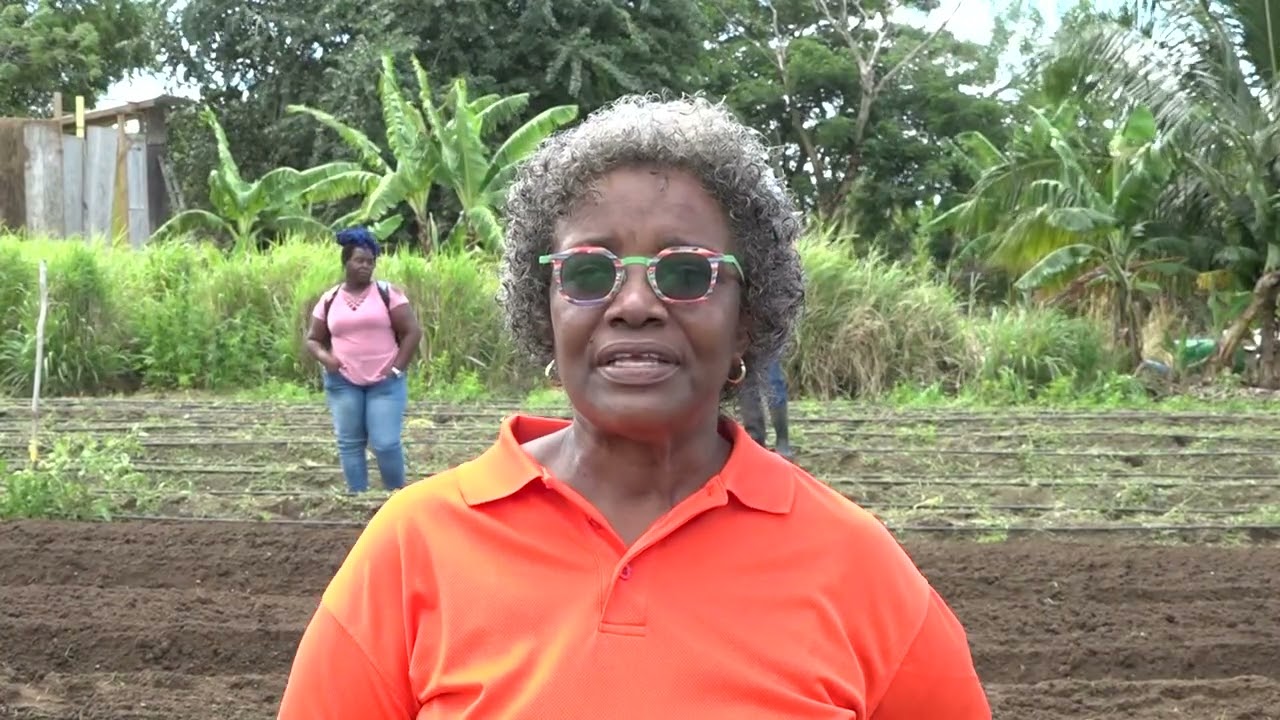 Choiseul Farmers Now Trained in Modern Tillage