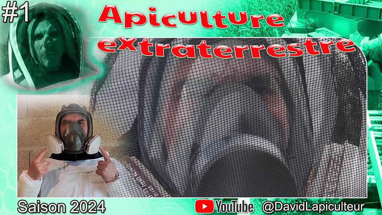 Apiculture 2024 - On vérifie les colonies et on rencontre un extraterrestre !