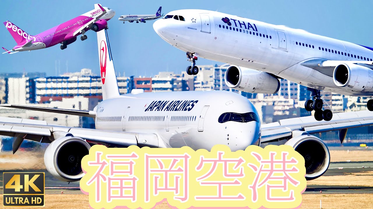 飛行機ATC👂❣️ 大量花粉も吹き飛ばして💨空の旅へ　福岡空港　国内線国際線🛫離着陸🛬ど迫力映像