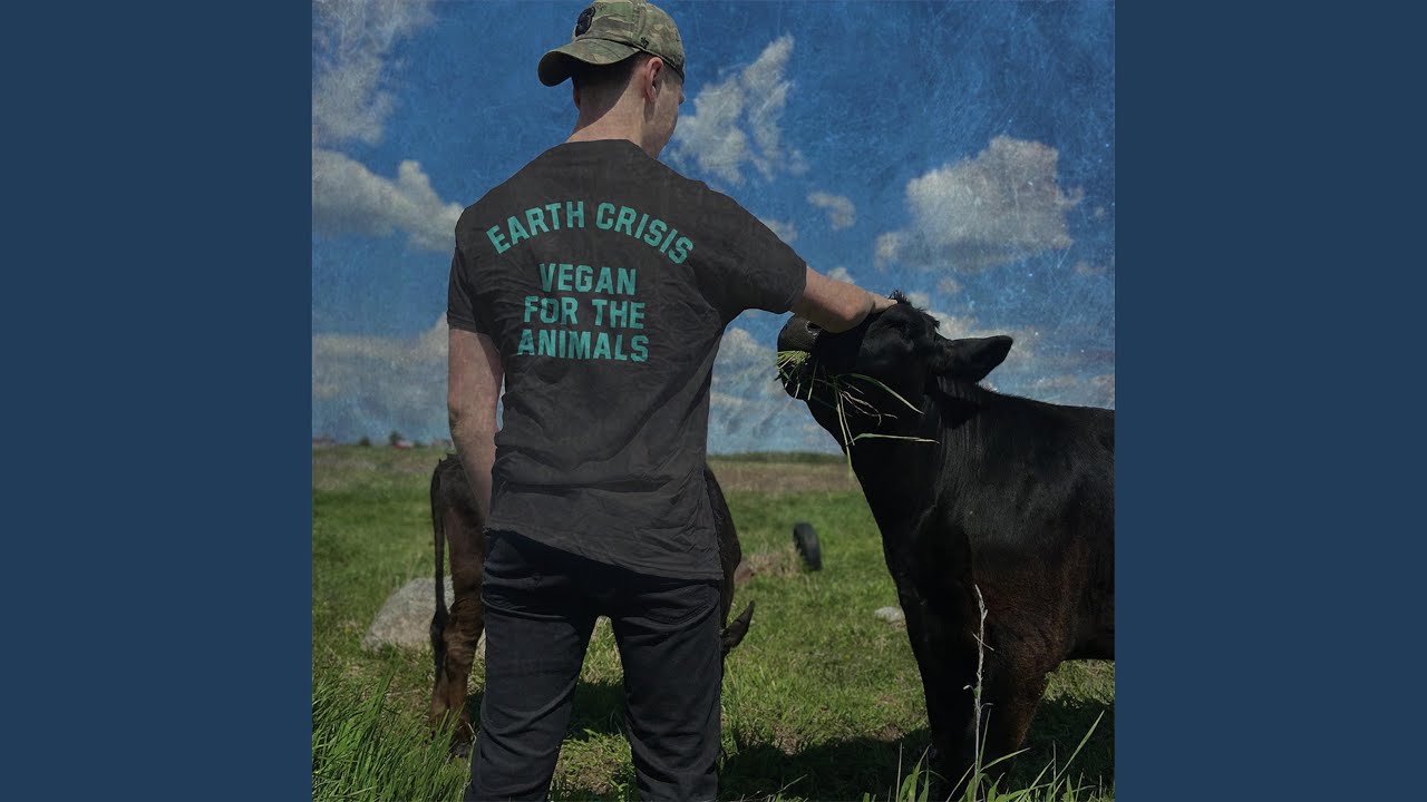 Vegan For The Animals