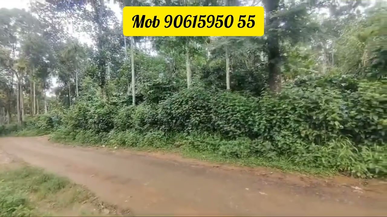 2 ഏക്കർ തോട്ടം ബത്തേരി ഭാഗം (മുറിച്ച് വിൽപ്പനക്കും അനുയോജ്യം) വിൽപ്പനയ്ക്ക്