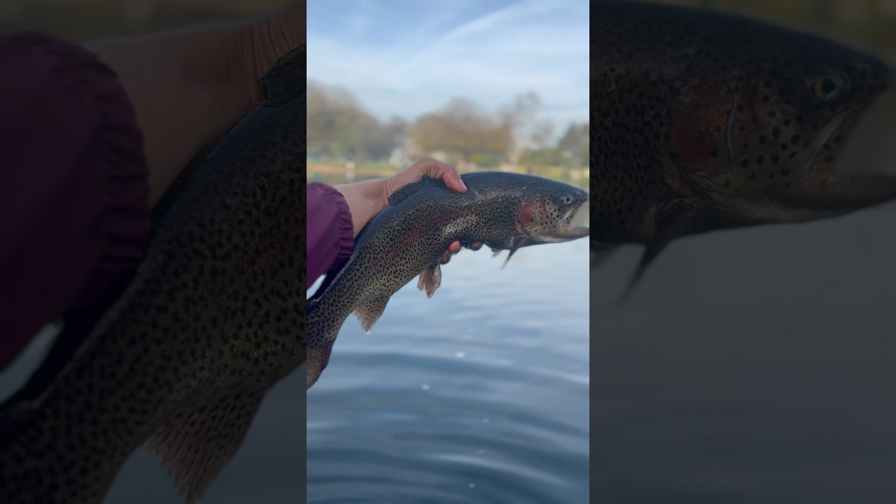 Fire day today while catching beautiful bows on 