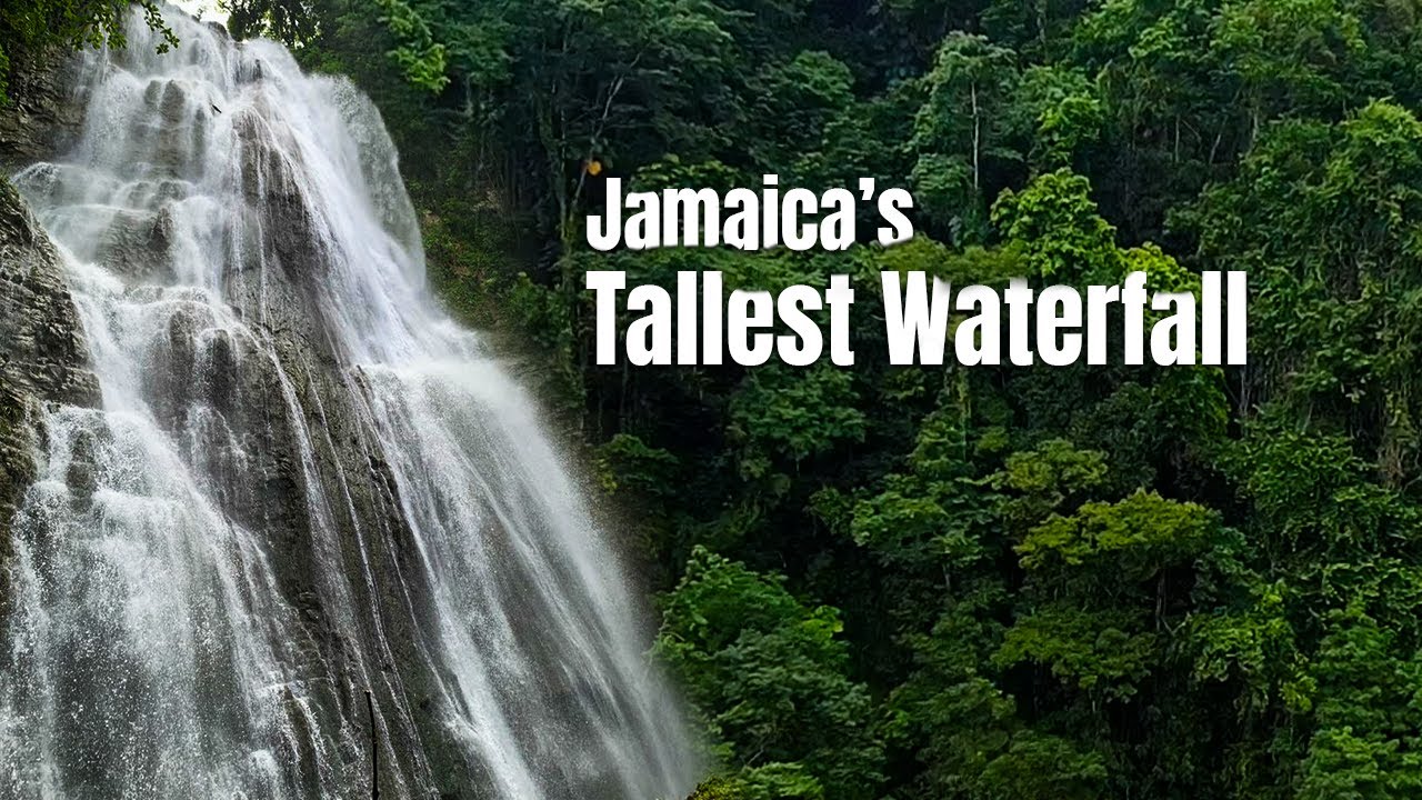 Hike Jamaica's Tallest WaterFall | Non Such Falls