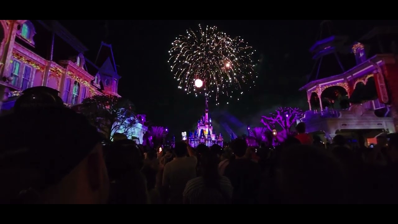 Happily Ever After Fireworks 