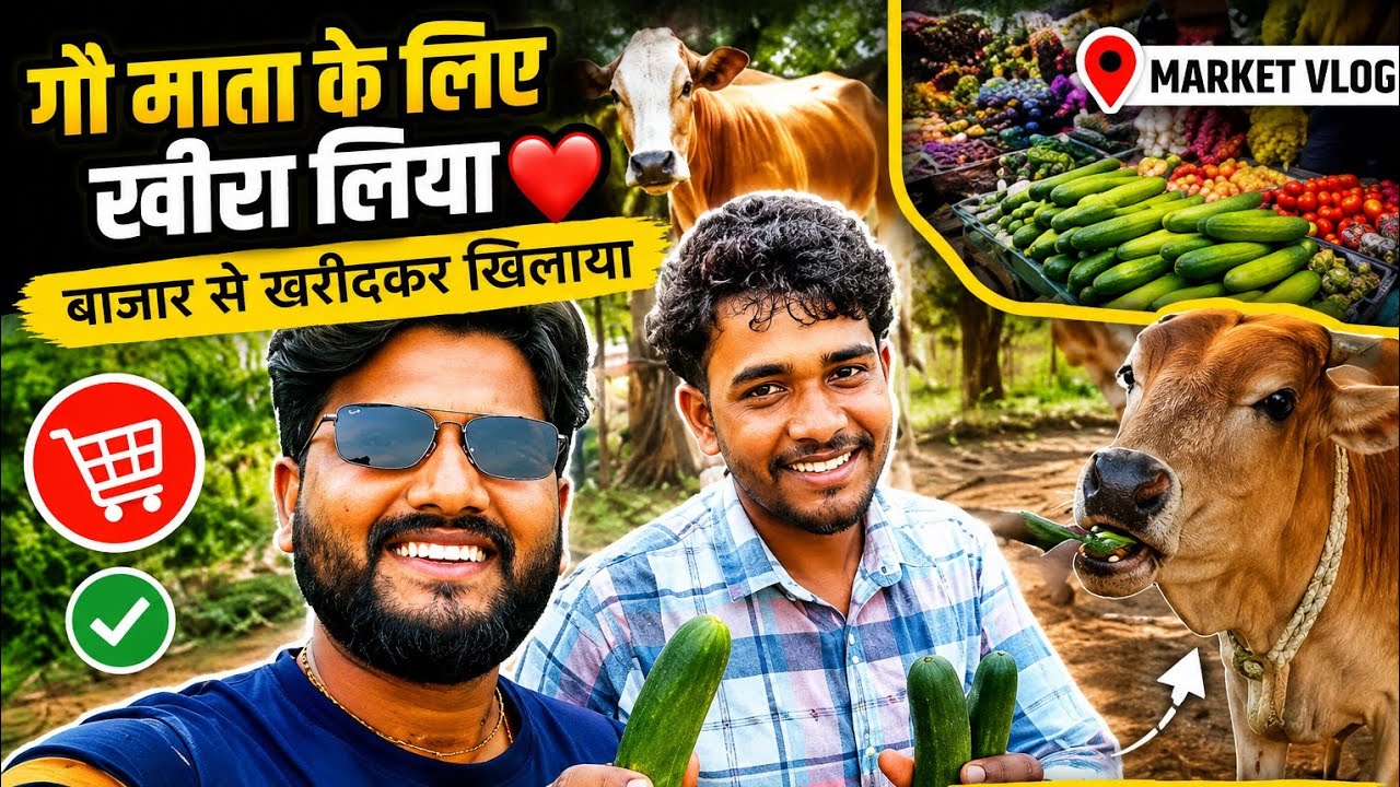 गौ माता के लिए मार्केट से खीरा खरीदा 🥒 | पूरा Vlog | Gau Seva Vlog ❤️#blog #gaumata #cow 