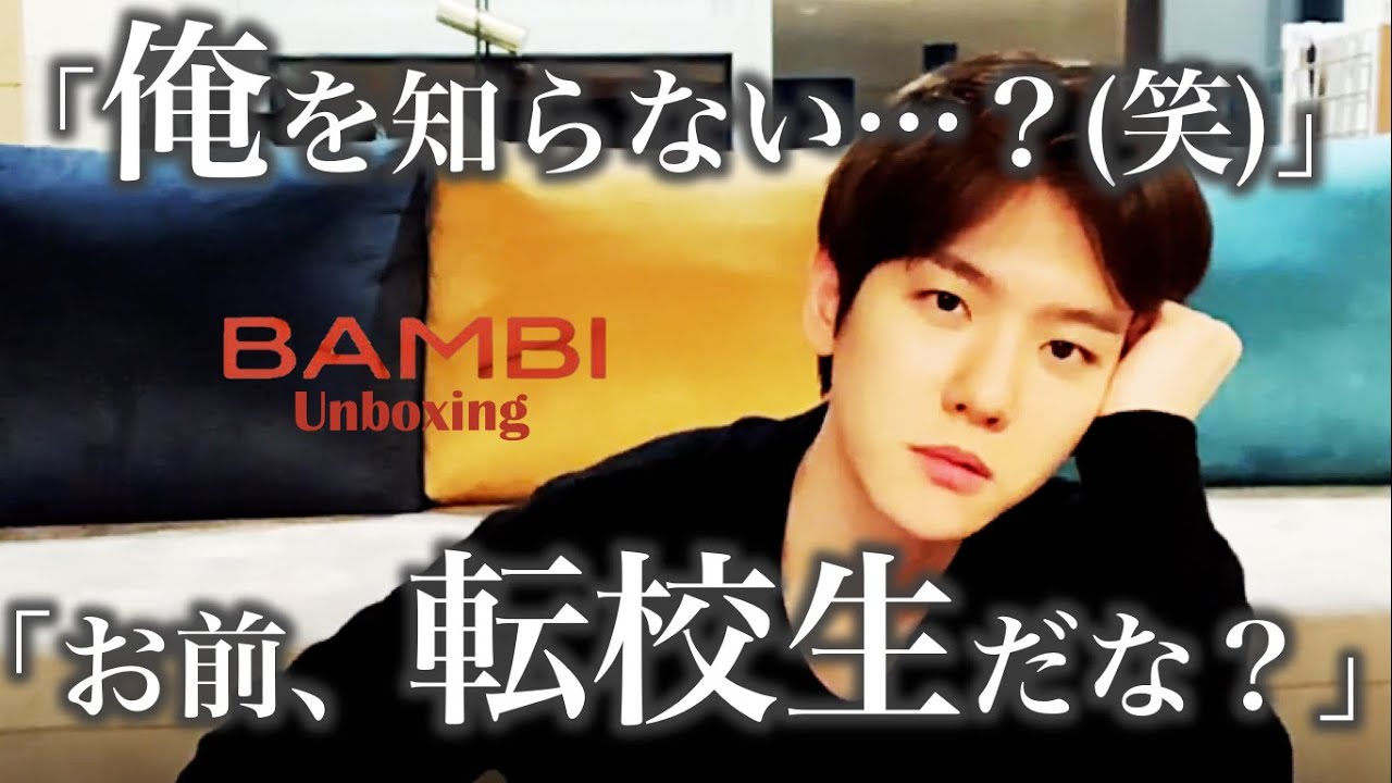 【EXO_日本語字幕】思いついたことを全部言う10年目30歳アイドル