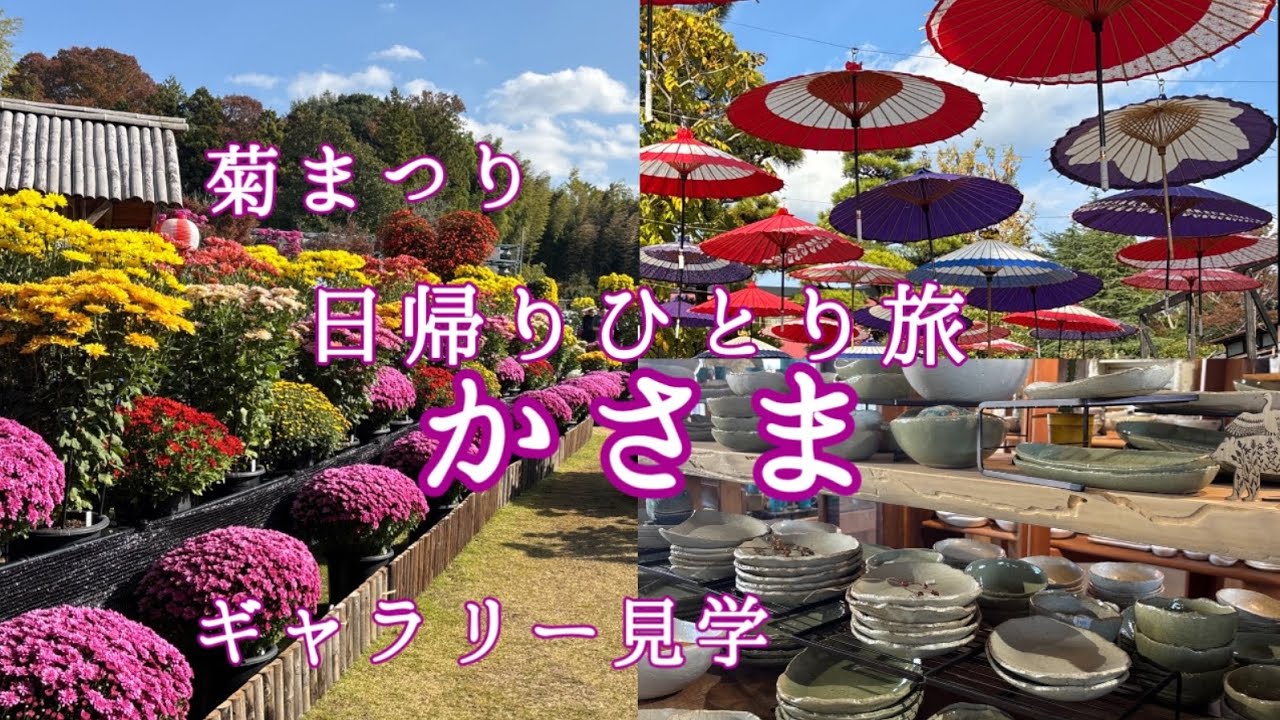 【日帰りひとり旅No.4】陶器と菊まつりの町かさまへ行こう~Pottery Gallery and Chrysanthemum Festival