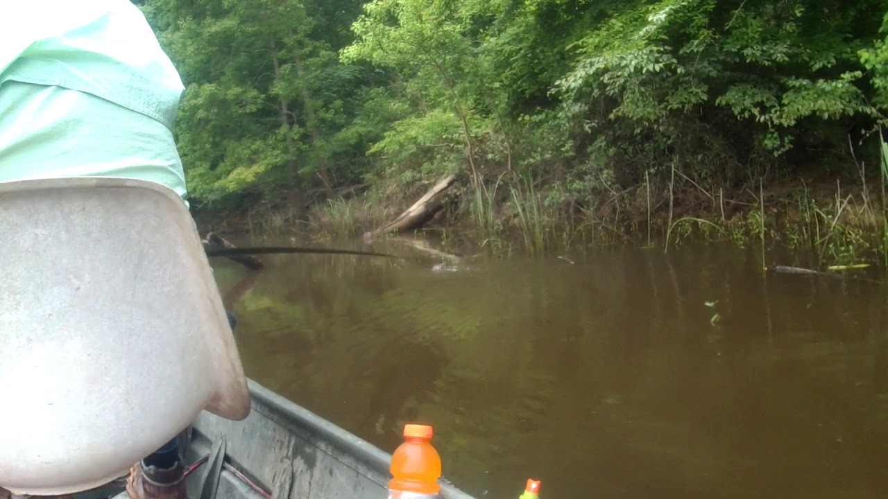10 Days of Jigger Pole Fishing.
