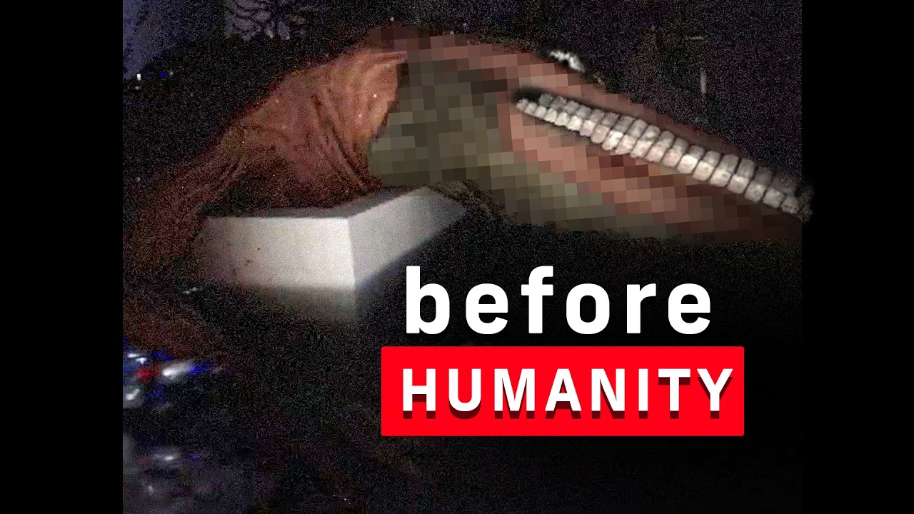 𝚃𝚑𝚎 𝙿𝚛𝚎𝚑𝚒𝚜𝚝𝚘𝚛𝚒𝚌 𝙱𝚊𝚌𝚔𝚛𝚘𝚘𝚖𝚜.