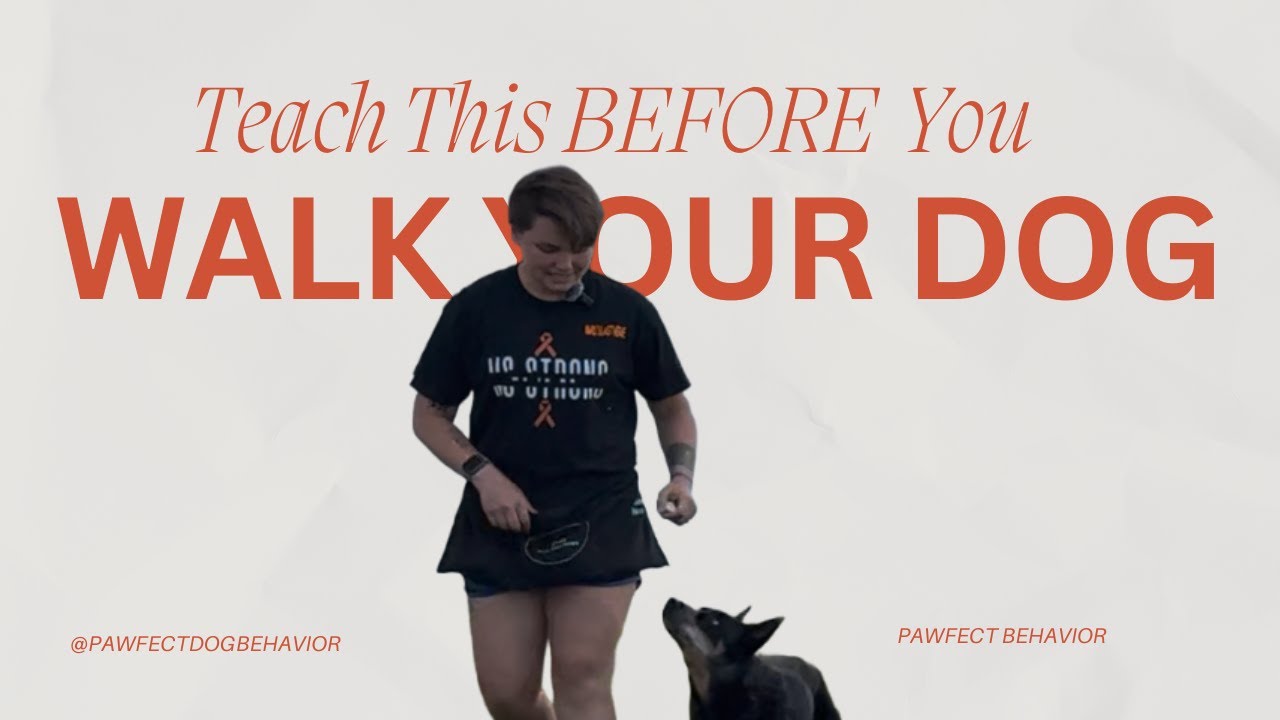 Loose Leash Walking Starts Here | Proximity Game for Reactive Dogs