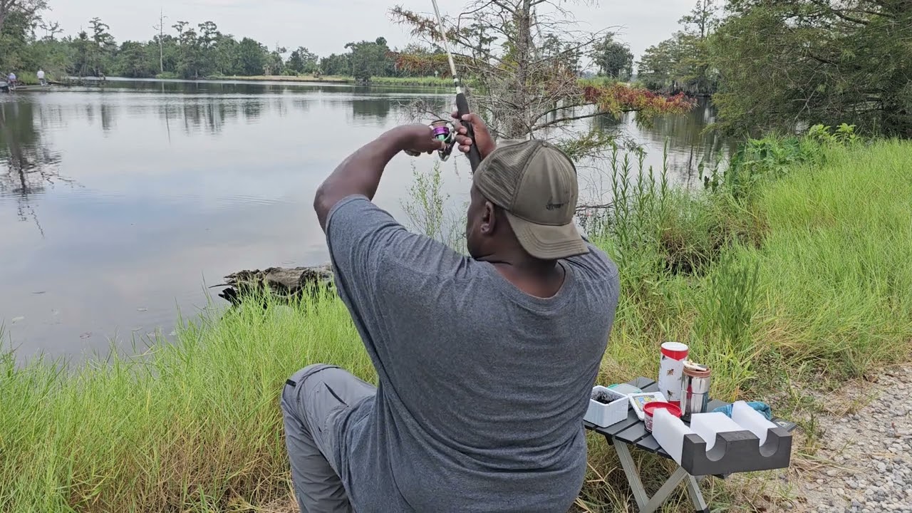 Went Deep Down a Country Road to Find These Fish Day 2!!!!