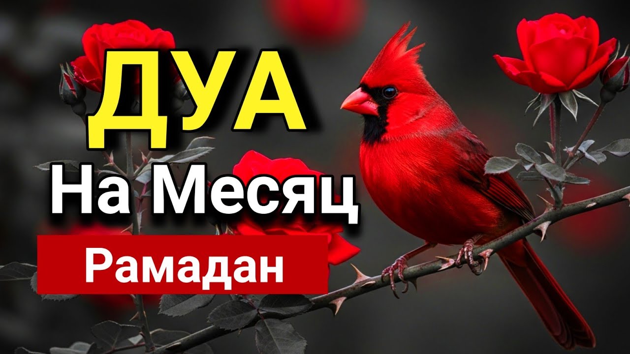 🔑🌟 Слушай это дуа сейчас в месяце рамадан - Дуа которое стирает все грехи! 💖🤲💯