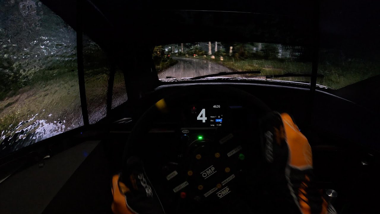 POV Dirt Rally 2.0 Test Triple Screen + reshade