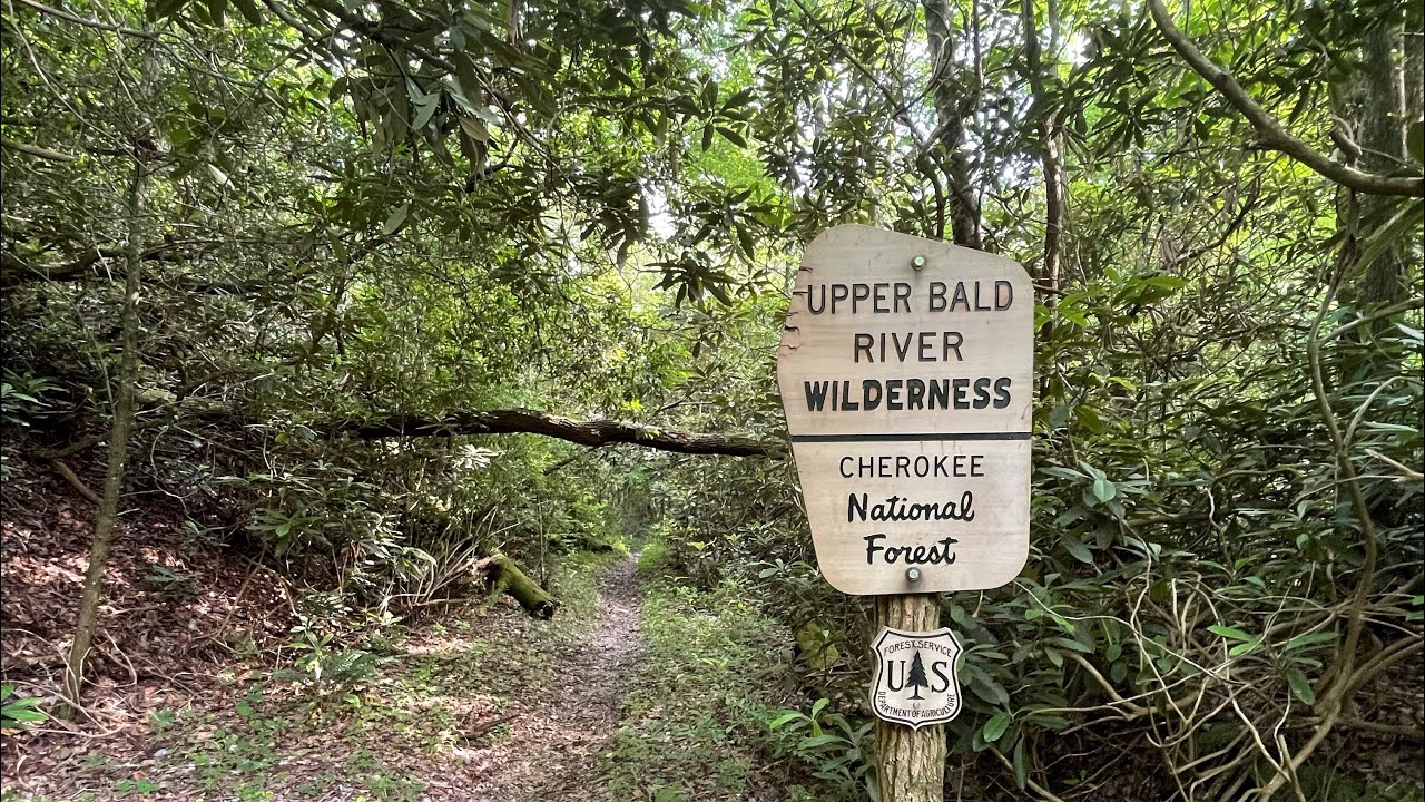 Tennessee Wild Trout in the Upper Bald River Wilderness - Hike & Fish |