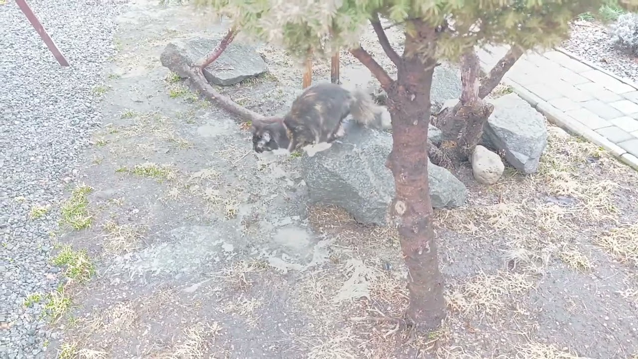 Погода не радует ждём весну 🥰