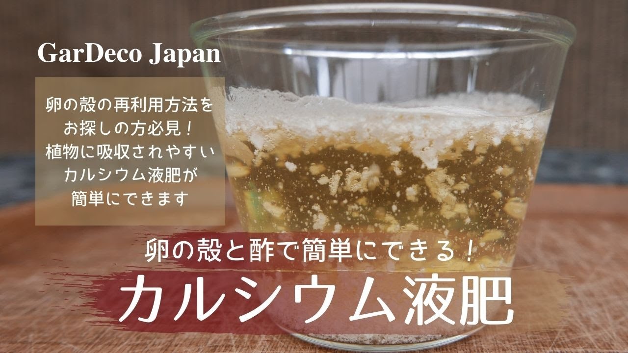 卵の殻と酢で簡単にできるカルシウム液肥【卵の殻の再利用】