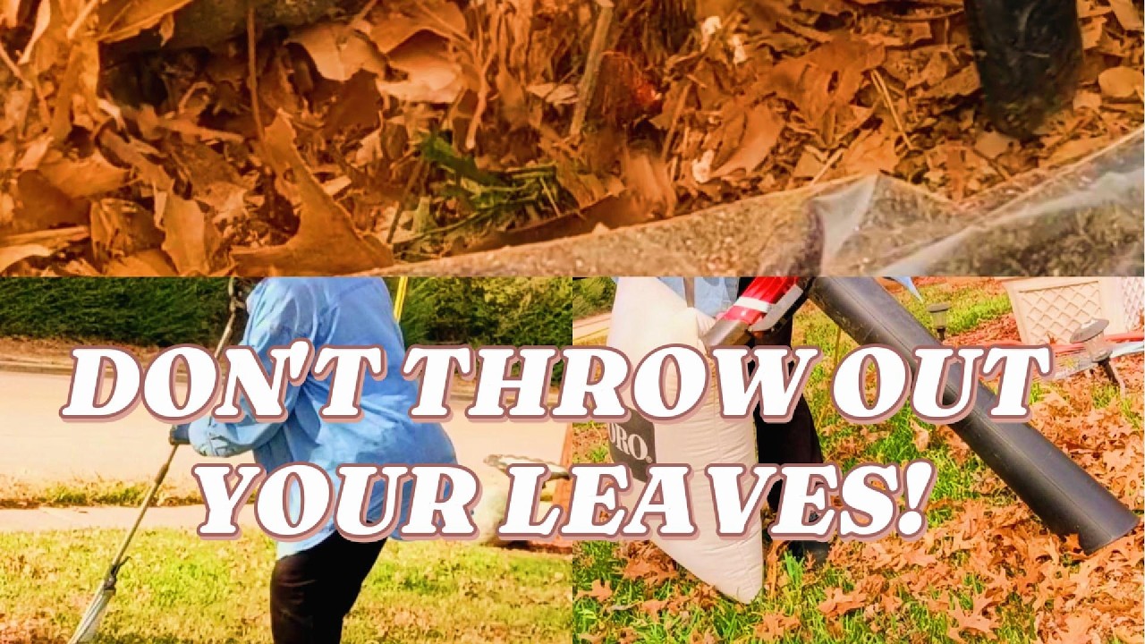 DON’T THROW OUT LEAVES! TURN YARD CLEANUP INTO GARDEN COMPOST