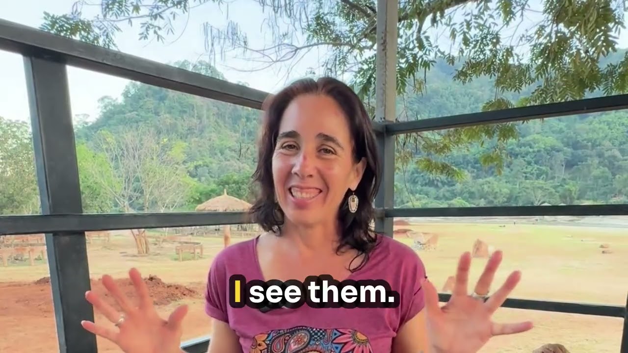 The Essence of Animal Communication with an Elephant and their Teachings - Part 1