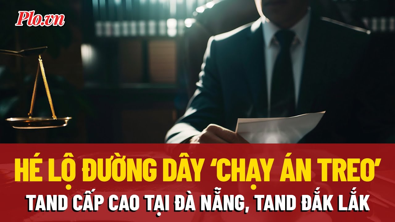 Bóc trần đường dây ‘chạy án treo’ tại TAND Cấp cao tại Đà Nẵng, TAND Đắk Lắk - PLO