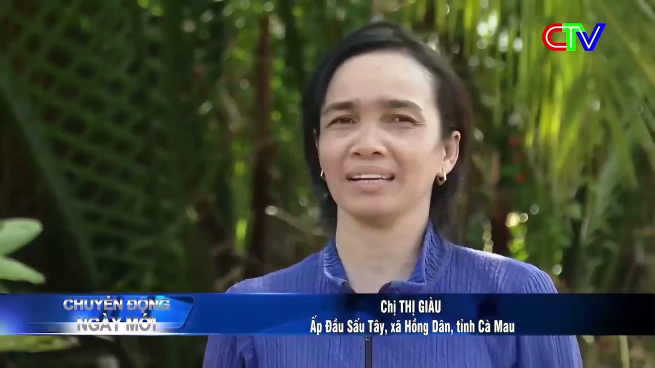 Chuyển động ngày mới 13 2 2026 online video cutter com