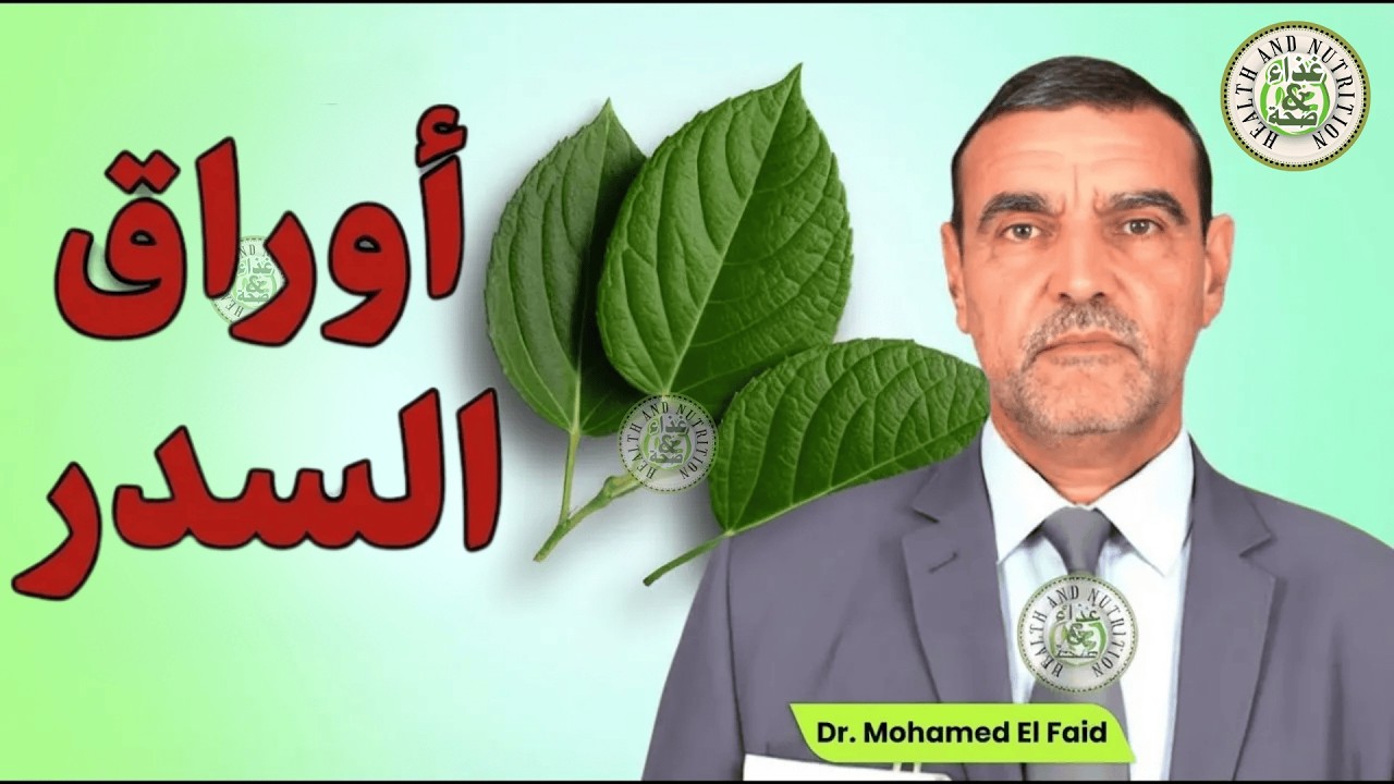 أسرار وفوائد أوراق السدر في التراث الغذائي | الدكتور محمد الفايد