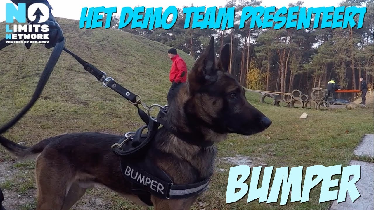 BUMPER DE POLITIEHOND - ACHTER DE SCHERMEN #04