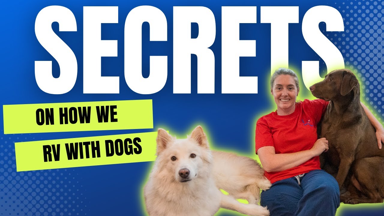 How we Full Time RV with our Dogs