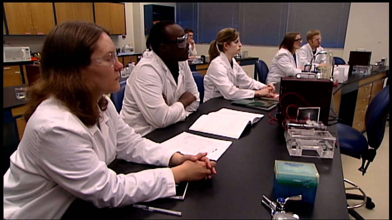 What Does a Biotechnology Course Look Like?
