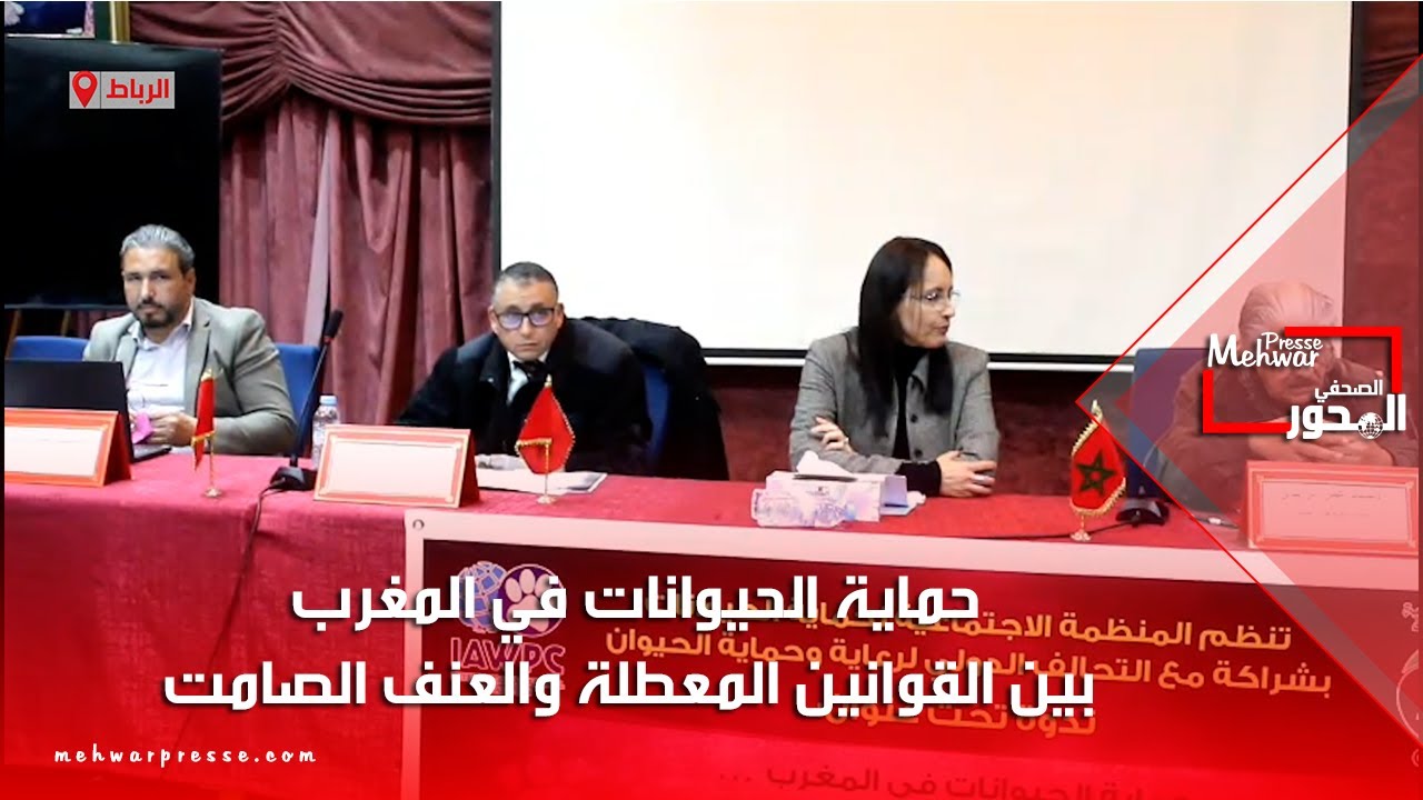 حماية الحيوانات في المغرب بين القوانين المعطلة والعنف الصامت