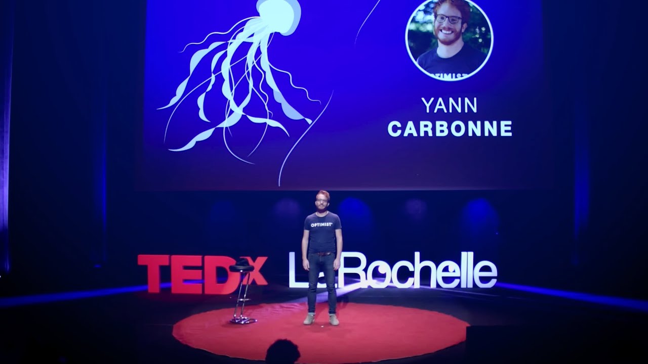 Les IA ne sont pas aussi intelligentes que vous le pensez | Yann Carbonne | TEDxLaRochelle