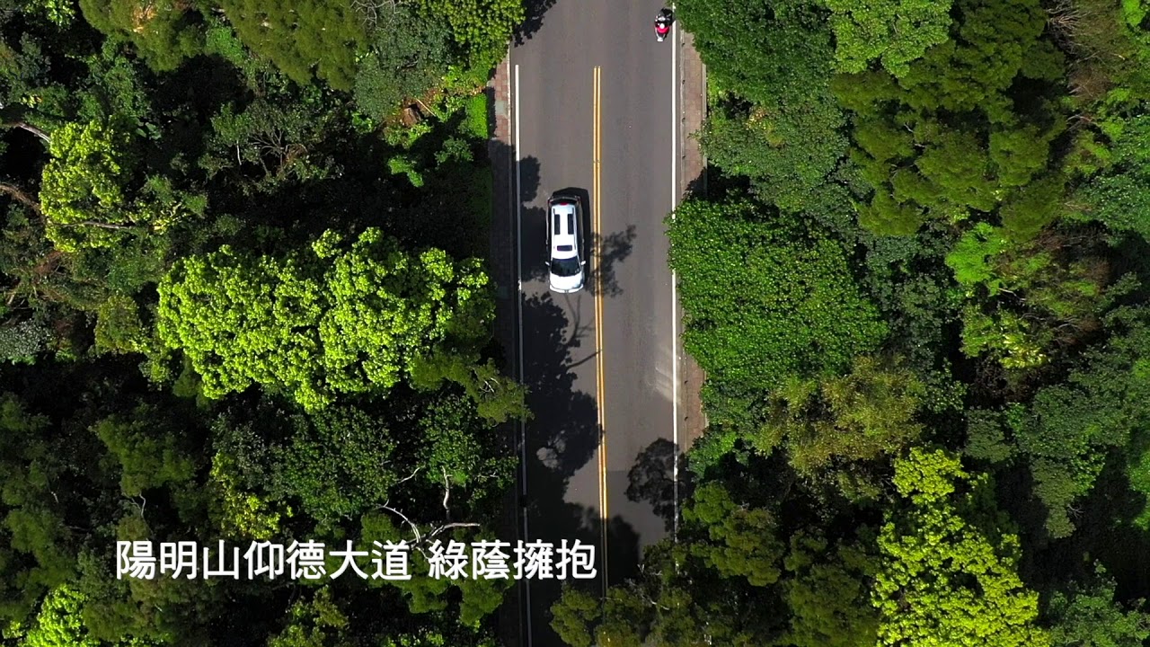 TWSIR 國內嚴選物件-仰德大道108別墅